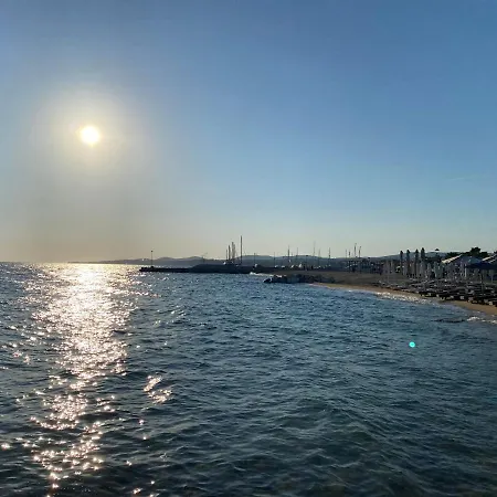 Momo's House * Никити