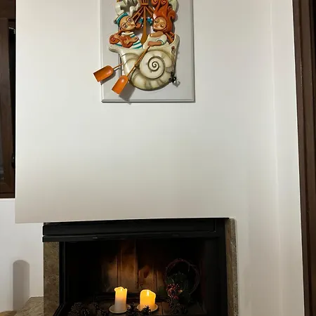 Momo's House Никити