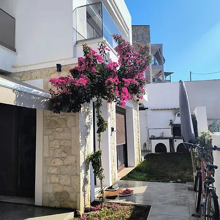 Momo's House Nyaraló *