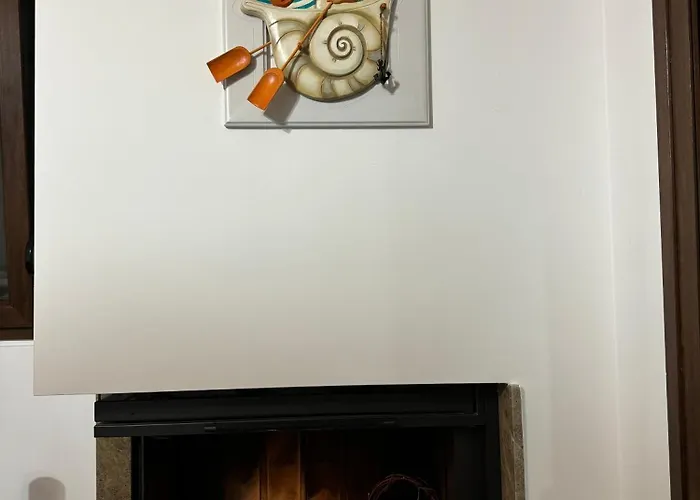 Momo's House ニキティ