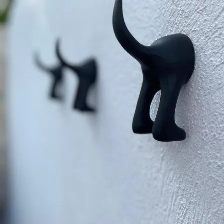 Momo's House *