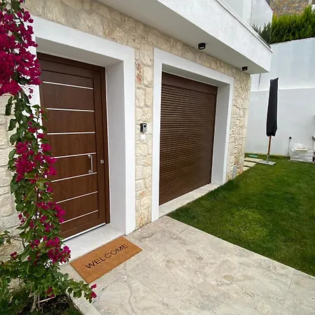 Momo's House نيكيتي
