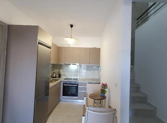 Momo's House نيكيتي