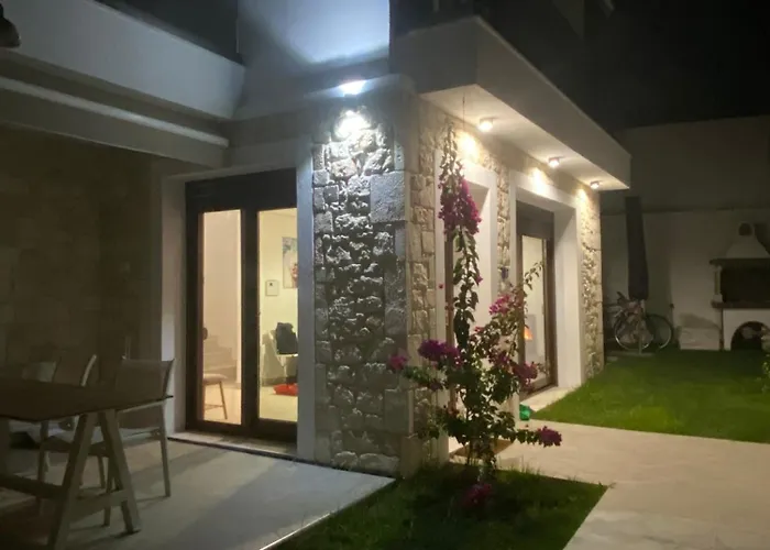 Momo's House * نيكيتي