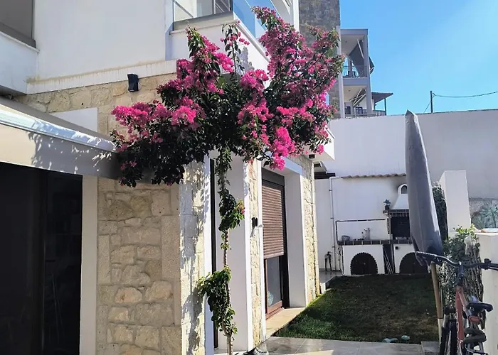 Momo's House بيت للعطل *
