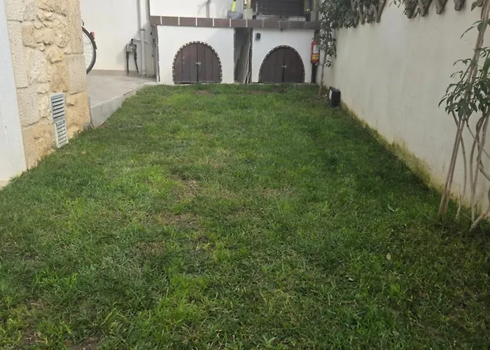 Momo's House نيكيتي
